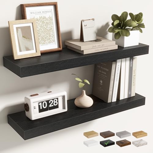 Acovy 24 Inch Floating Shelves for Wall 2 Pack, Wall Mounted Floating Shelf by Acovy
