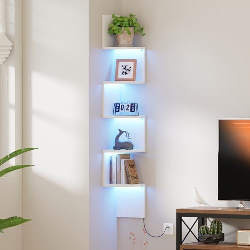 Qupui 5-Tier Corner Shelf with LED by Qupui