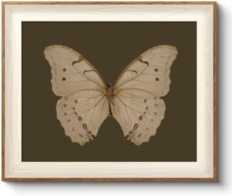 VIYYIEA Framed Rustic Butterfly Canvas Wall Art by VIYYIEAART