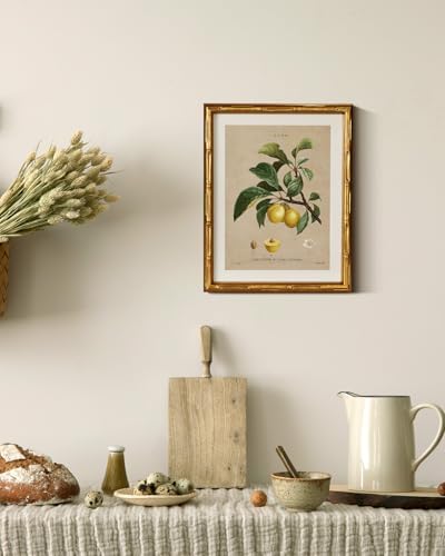 InSimSea Gold Bamboo Framed Wall Art, Retro Plum Botanical Prints - Image 5