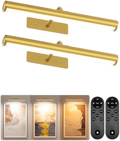 EZVALO 16‘’ Picture Lights for Wall, 6000mAh Rechargeable Art Lights by EZVALO