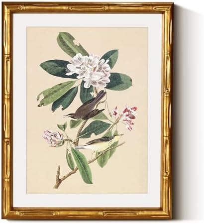 InSimSea Gold Bamboo Framed Wall Art, Vintage Bird Botanical Prints by InSimSeaArt