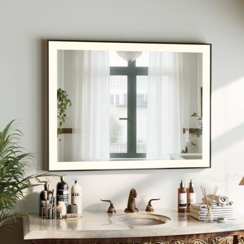 HARRITPURE Vanity Mirror with Lights by HARRITPUREHome