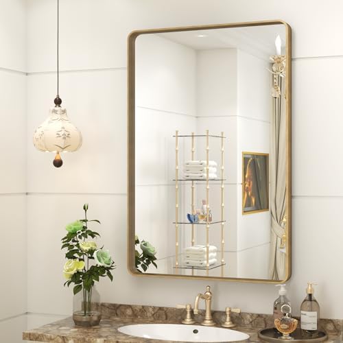 24x36 Inch Brushed Gold Bathroom Mirror by CHARMOR