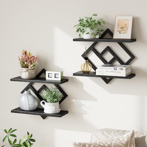 ELYKEN Floating Shelves for Wall by ELYKEN