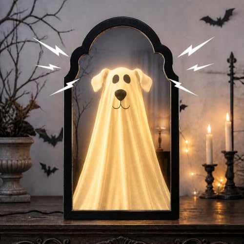 20" Haunted Ghost Mirror with LED Lights & Scary Voice Changer by Bafeil