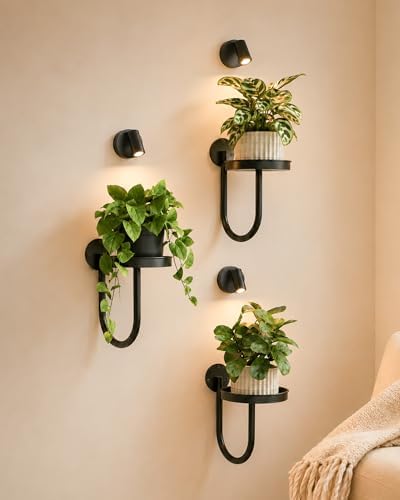 Bamworld Wall Plant Holder by Bamworld