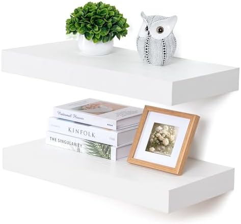 FLYJOE Deep Floating Shelves by FLYJOE