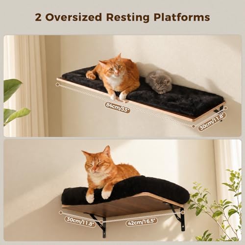 PAWZ Road Cat Wall Shelves, Modern Cat Wall Furniture - Image 4