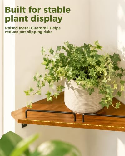 Bamworld Corner Shelf Wall Mounted, 13 Inch Floating Corner Shelves - Image 3