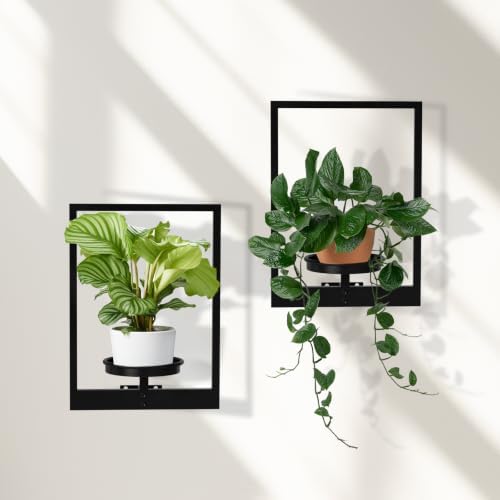 Wall Plant Holder Floating Plant Shelves by STORENIZATION