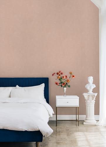 Mr. Kate Daphne Potter's Clay Peach Limewash Peel and Stick Wallpaper - Image 4