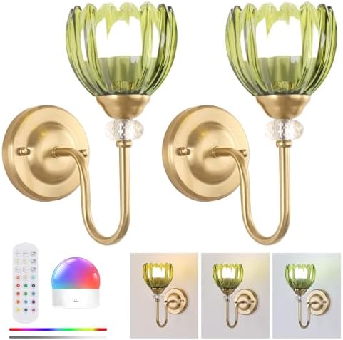 Set of 2 Vintage Battery Operated Wall Sconce, Rechargeable Wall Lamp by Shenmoyl