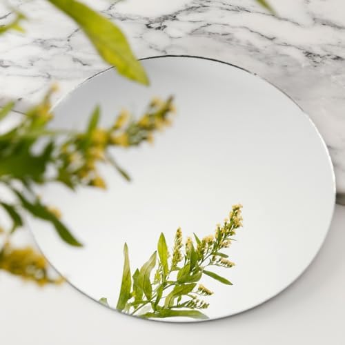 8 inch Glass Round Wall Mirror, 2mm Small Circle Mirror - Image 4