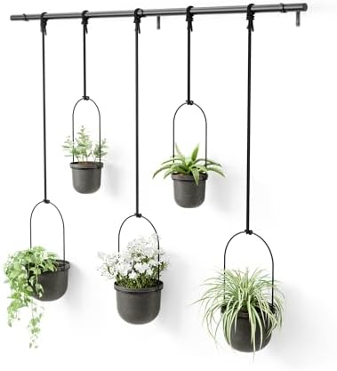 Umbra Triflora Hanging Planter, Window Herb Garden by Umbra