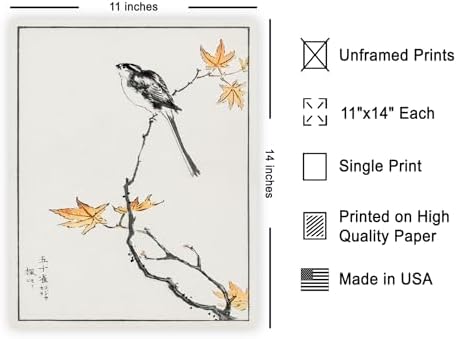 Poster Master Vintage Long-Tailed Tit and Maple Tree Poster - Image 2