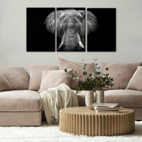 Pacimo 3 Pieces Wall Art for Living Room Elephant Canvas Wall Decor for Bedroom - Image 2