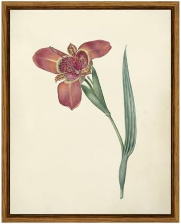 VIYYIEA Vintage Orchid Wall Art Botanical Flower Print 8x10 Inch by VIYYIEAART