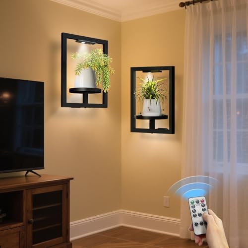 BAOYOUNI 2 Pack Wall Plant Shelf by BAOYOUNI