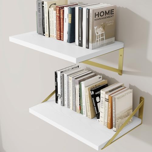 Deep Wall Shelves 16"W x 12"D Engineered Wood Floating Shelves by Venusmiles