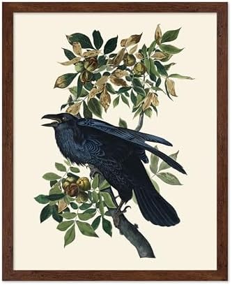 Poster Master Vintage John James Audubon Poster by PosterMaster