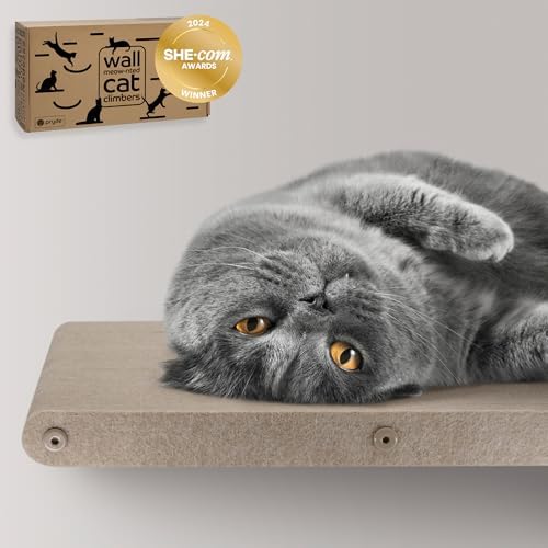 Cat Wall Shelf - Indoor & Outdoor by Pryde Pets by PrydePets