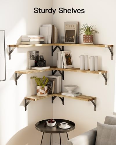 Amada Solid Paulownia Wood Wall Shelves, Large Size, Natural Wood - Image 2