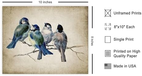 Poster Master Blue Birds On Branch Poster - Image 2