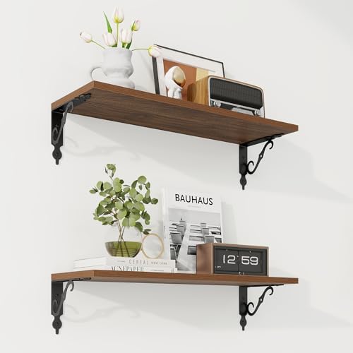 RICHFOCUS Floating Shelves for Wall Decor, 24Inch Shelves Set of 2, 24W x 8D by RICHFOCUS