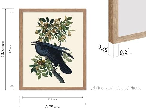 Poster Master Vintage John James Audubon Poster - Image 3