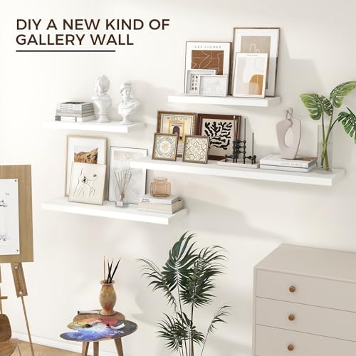 24" Wide x 6.5" Deep Floating Shelves - Image 2