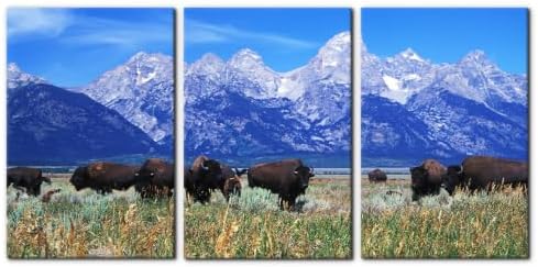 Pacimo Framed Native American Bison Modern Wall Art by Pacimo