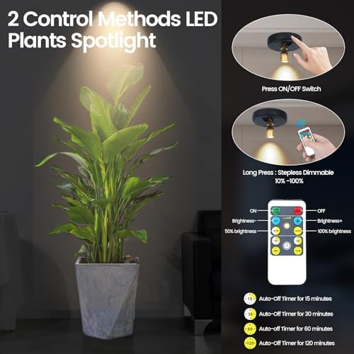 HAMVIDNE LED Spotlights Indoor, Rechargeable Battery Picture Display Lights - Image 3