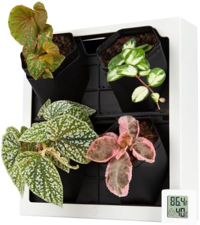 FRESH SPEED Self-Watering Wall Planters by FRESHSPEED