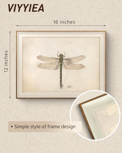 VIYYIEA Framed Dragonfly Canvas Wall Art Elegant Nature Decor - Image 5