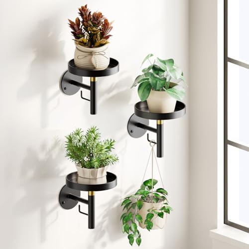 DELLAN Wall Plant Holder, 3 Pack Metal Stand by DELLAN