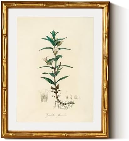 InSimSea Gold Bamboo Framed Wall Art, Vintage Kitchen Herbs Prints by InSimSeaArt