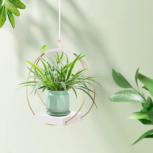 hismocal Hanging Planters for Indoor Plants, Plant Hanger - Image 6