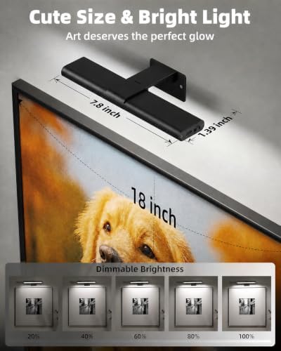 EZVALO Picture Light for Wall, Rechargeable 2400mAh Lights Wireless - Image 6