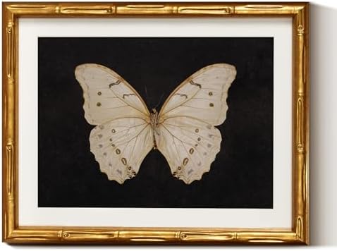 InSimSea Gold Bamboo Framed Wall Art, Retro White Butterfly Prints by InSimSeaArt