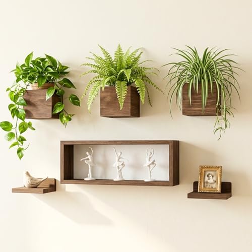 LaLaGreen Wood Planter Box for Indoor Plants Hanging Wall Planters by L%C3%A1L%C3%A1Green