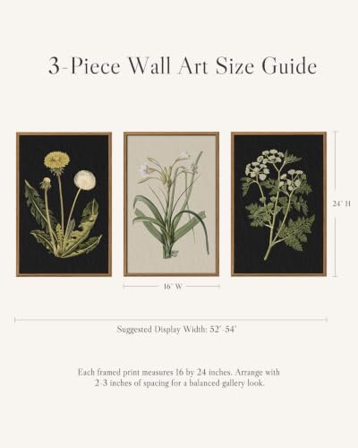 InSimSea Large 3 Pieces Botanical Wall Art, Vintage Flora Canvas Prints - Image 6