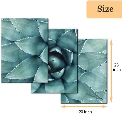 Pacimo 3 Pieces Canvas Wall Art Succulent Centre Pictures Prints Giclee Poster - Image 4