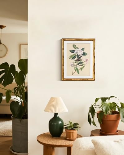 InSimSea Gold Bamboo Framed Wall Art, Vintage Bird Botanical Prints - Image 6