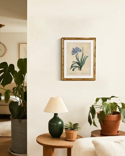 InSimSea Gold Bamboo Framed Wall Art, African Lily Botanical Prints - Image 2