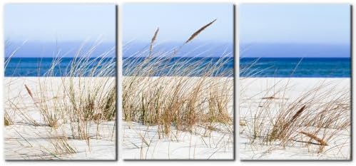Pacimo Framed Canvas Wall Art 3 Pieces Beach Wild Grass Modern Home Decor by Pacimo