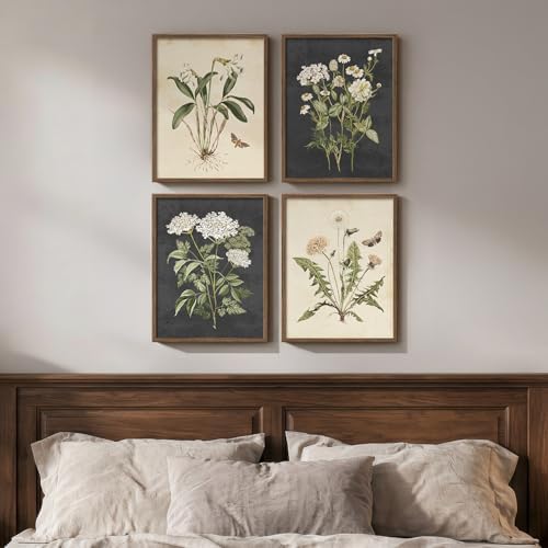 Framed Vintage Botanical Floral Wall Art by Cuspin