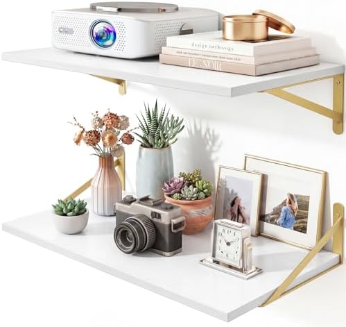 Fixwal 2pcs 10 in Deep Floating Shelves by Fixwal