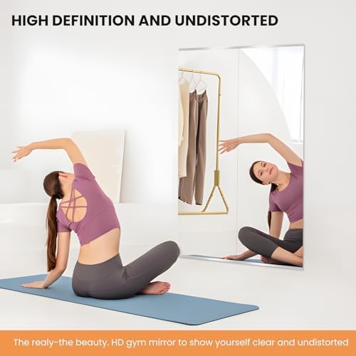 pertetey 63 x 28 in Home Gym Mirror - Image 2