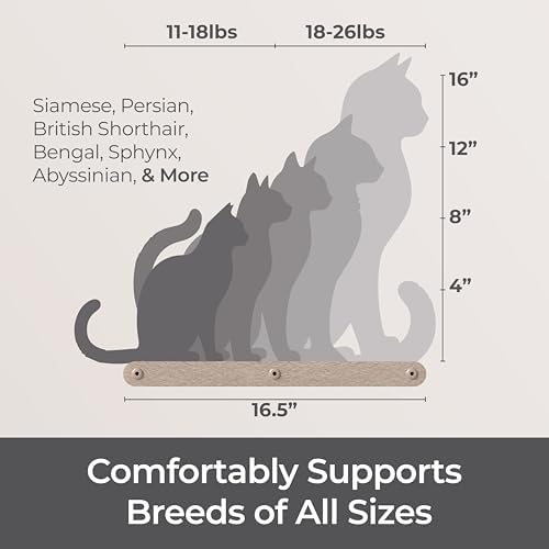 Cat Wall Shelf - Indoor & Outdoor by Pryde Pets - Image 6